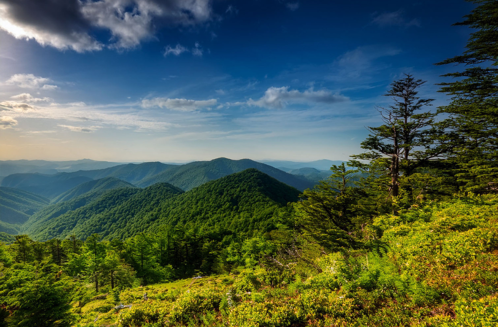 Black Mountain, North Carolina, USA