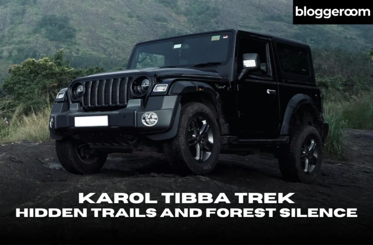 Karol Tibba Trek - Bloggeroom