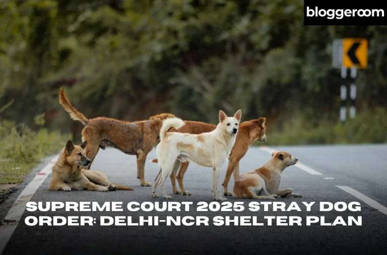 Supreme Court 2025 Stray Dog Order Delhi-NCR Shelter Plan - Bloggeroom